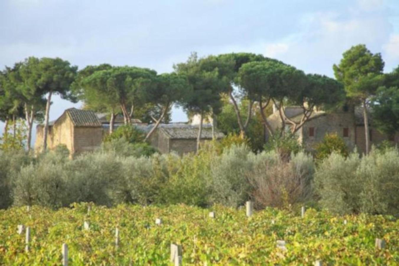 Aparthotel Antico Borgo La Commenda Montefiascone Exterior foto